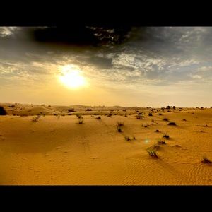 Meet your Posher, Daisy